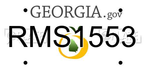 RMS1553 Georgia License Plate