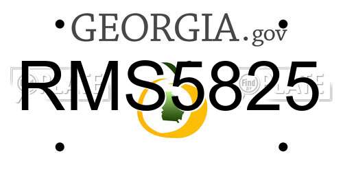 RMS5825 Georgia License Plate