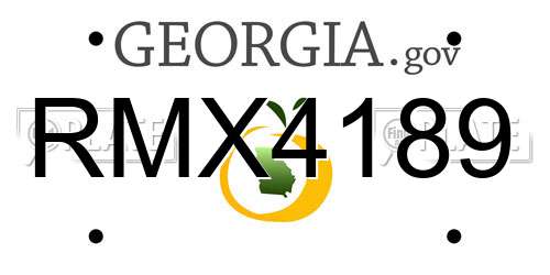 RMX4189 Georgia License Plate