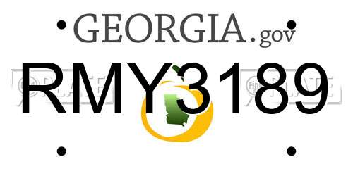 RMY3189 Georgia License Plate