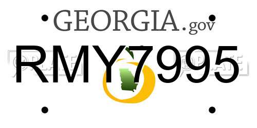 RMY7995 Georgia License Plate