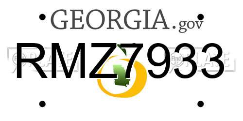 RMZ7933 Georgia License Plate