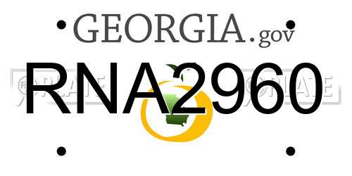 RNA2960 Georgia License Plate