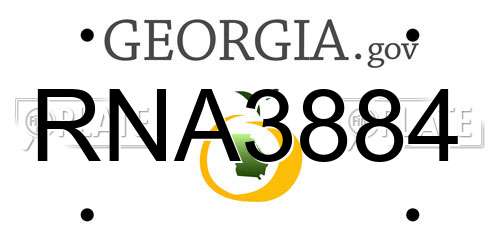 RNA3884 Georgia License Plate