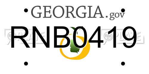 RNB0419 Georgia License Plate