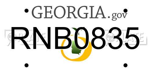 RNB0835 Georgia License Plate