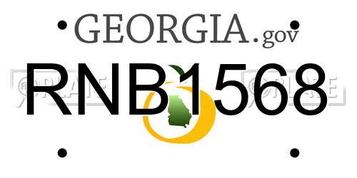 RNB1568 Georgia License Plate