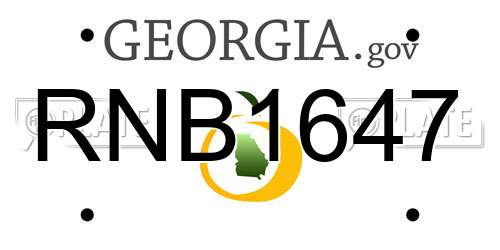 RNB1647 Georgia License Plate