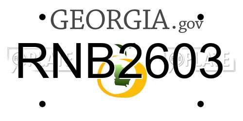 RNB2603 Georgia License Plate