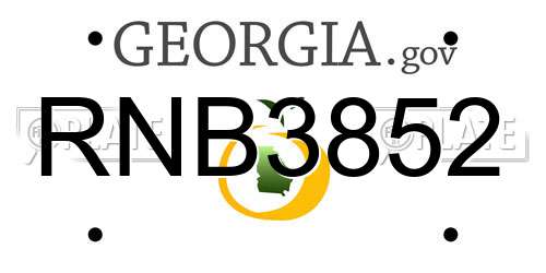 RNB3852 Georgia License Plate
