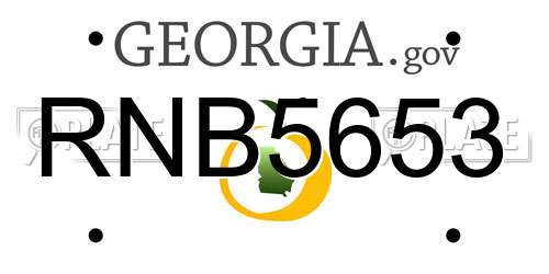 RNB5653 Georgia License Plate