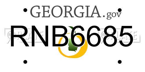 RNB6685 Georgia License Plate