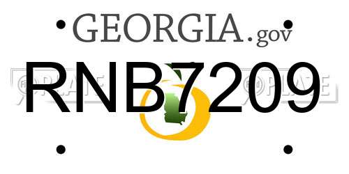 RNB7209 Georgia License Plate