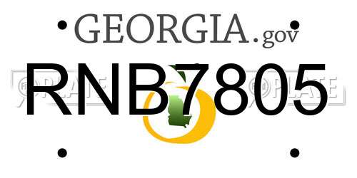 RNB7805 Georgia License Plate