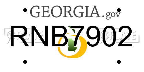 RNB7902 Georgia License Plate