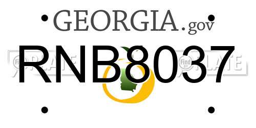 RNB8037 Georgia License Plate