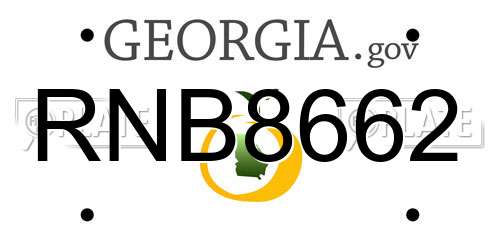 RNB8662 Georgia License Plate
