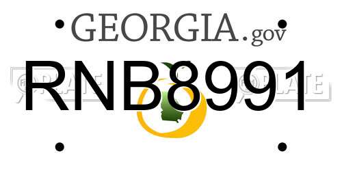 RNB8991 Georgia License Plate