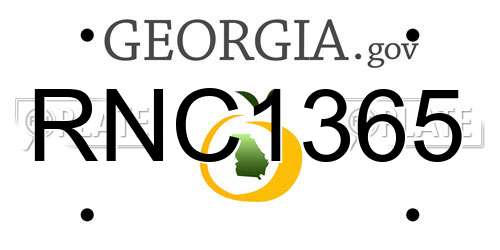 RNC1365 Georgia License Plate