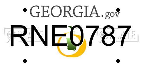 RNE0787 Georgia License Plate