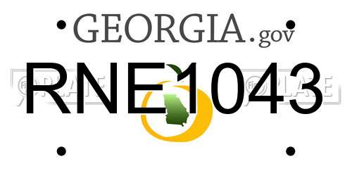 RNE1043 Georgia License Plate