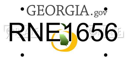RNE1656 Georgia License Plate