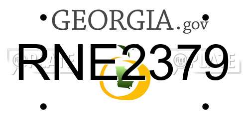 RNE2379 Georgia License Plate