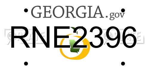 RNE2396 Georgia License Plate