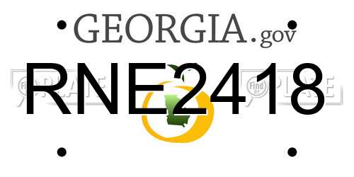 RNE2418 Georgia License Plate