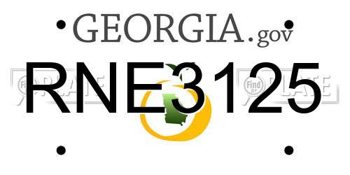 RNE3125 Georgia License Plate
