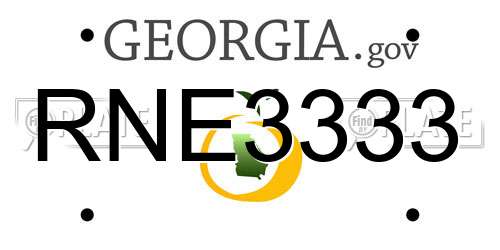 RNE3333 Georgia License Plate