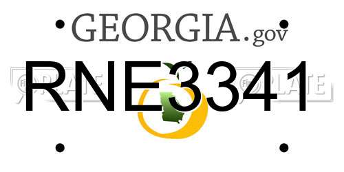 RNE3341 Georgia License Plate