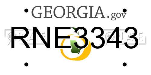 RNE3343 Georgia License Plate