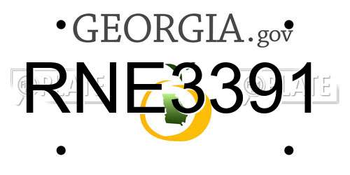 RNE3391 Georgia License Plate