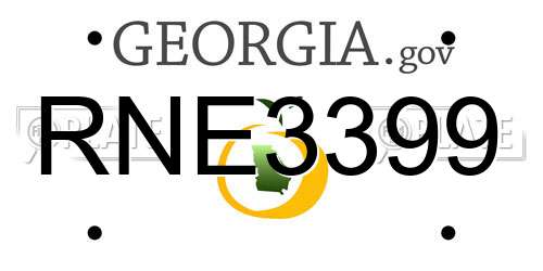 RNE3399 Georgia License Plate