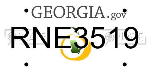 RNE3519 Georgia License Plate
