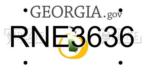 RNE3636 Georgia License Plate