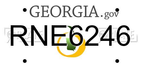 RNE6246 Georgia License Plate