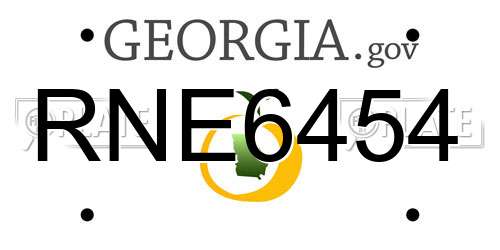 RNE6454 Georgia License Plate