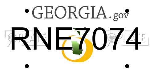 RNE7074 Georgia License Plate