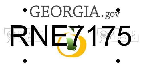RNE7175 Georgia License Plate