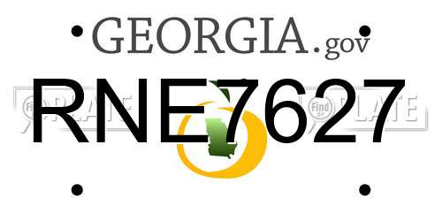 RNE7627 Georgia License Plate