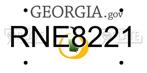 RNE8221 Georgia License Plate