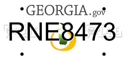 RNE8473 Georgia License Plate
