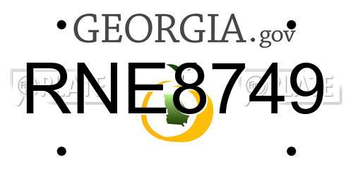 RNE8749 Georgia License Plate