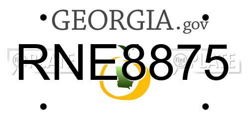 RNE8875 Georgia License Plate