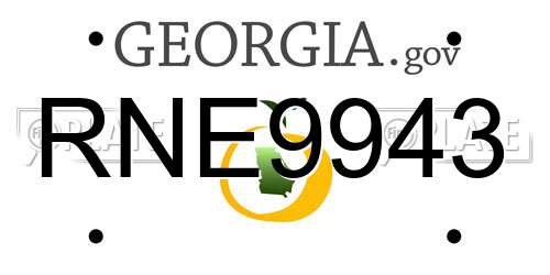 RNE9943 Georgia License Plate