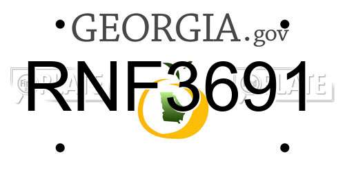RNF3691 Georgia License Plate