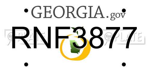 RNF3877 Georgia License Plate