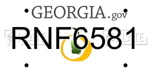 RNF6581 Georgia License Plate